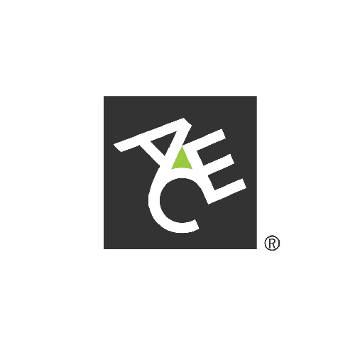 ACE American Insurance Company